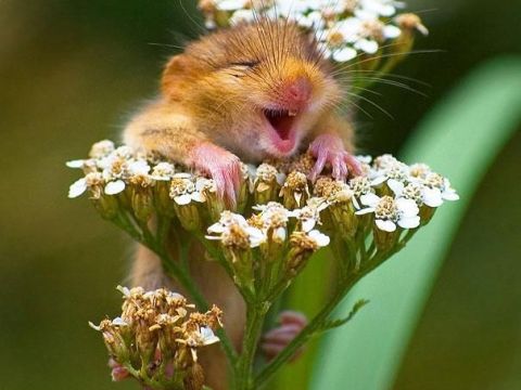 Img MARQUE UM ENCONTRO.